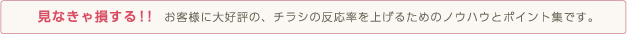 見なきゃ損する!!お客様に大好評の、チラシの反応率を上げるためのノウハウとポイント集です。