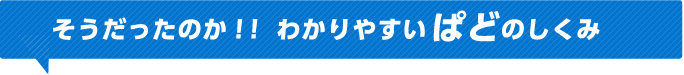 そうだったのか!!わかりやすいぱどのしくみ